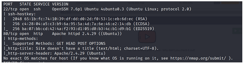 TryHackMe: ConvertMyVideo