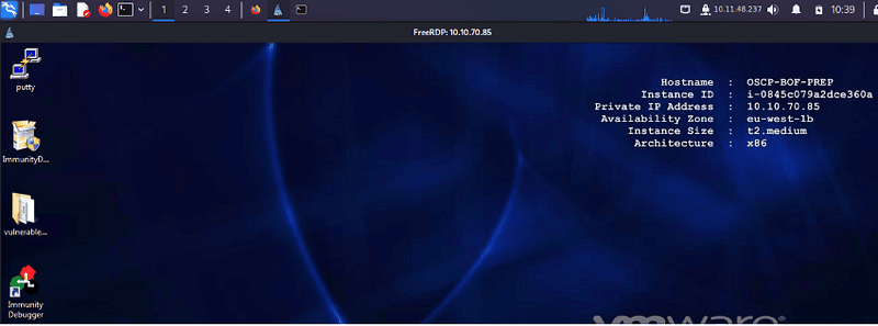 Learn Buffer Overflow Techniques