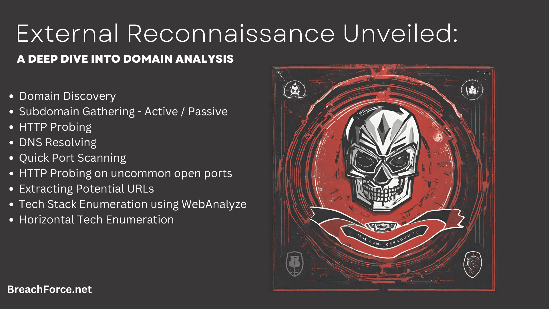 External Reconnaissance Unveiled: A Deep Dive into Domain Analysis