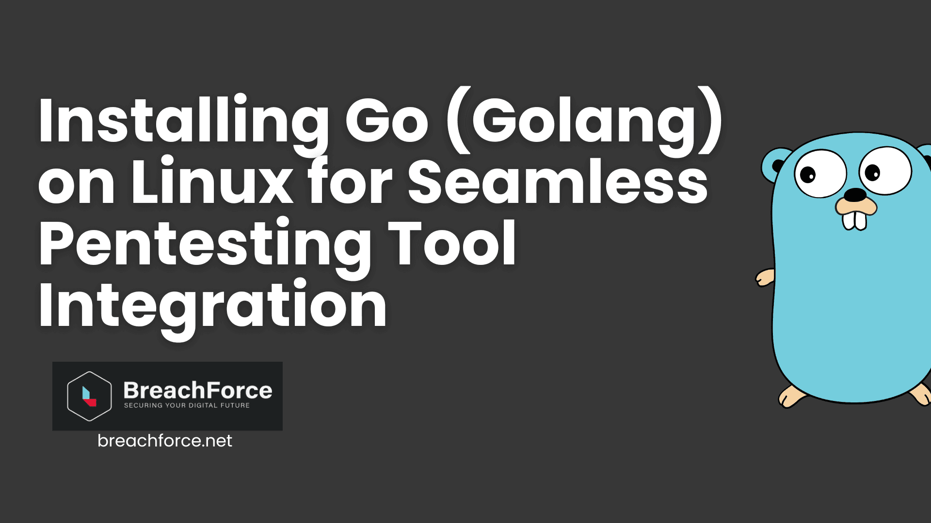 Installing Go (Golang) on Linux for Seamless Pentesting Tool Integration